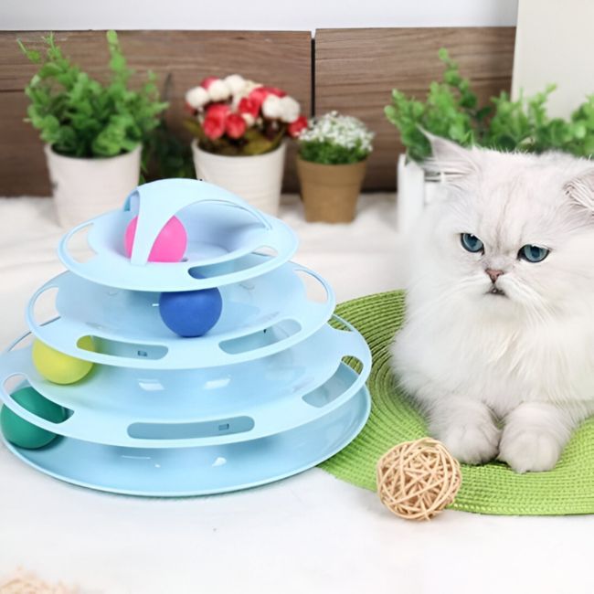 Chat blanc observe le jouet chat interactif TriLoop⹠bleu avec balles colorées