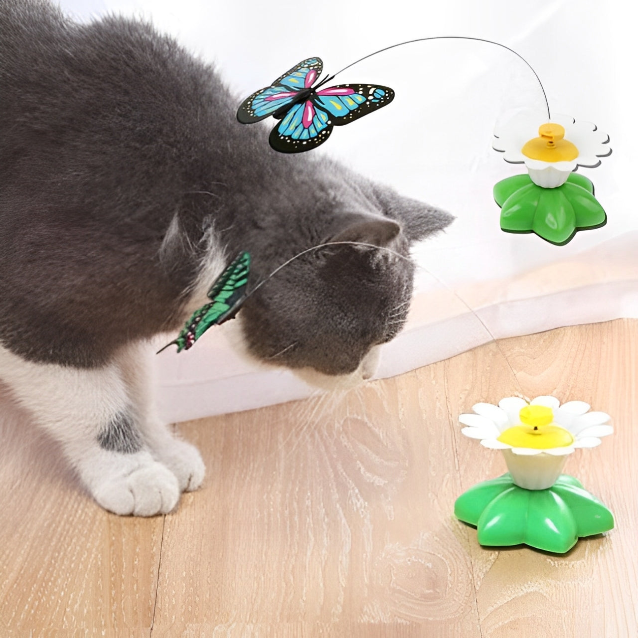 Chat explorant le papillon Papilune⹠sur sa base fleur décorative variant papillon