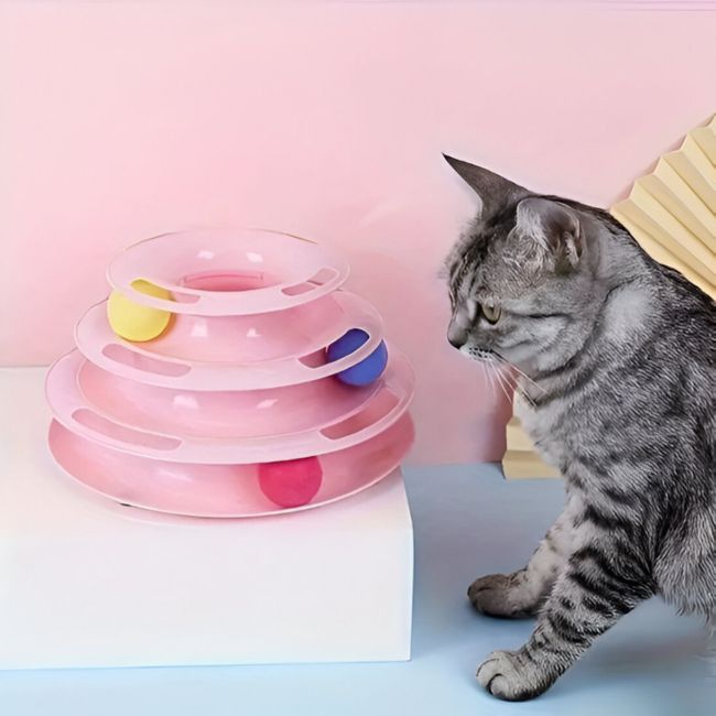 Chat tigré captivé par le jouet chat interactif TriLoop⹠rose et ses balles