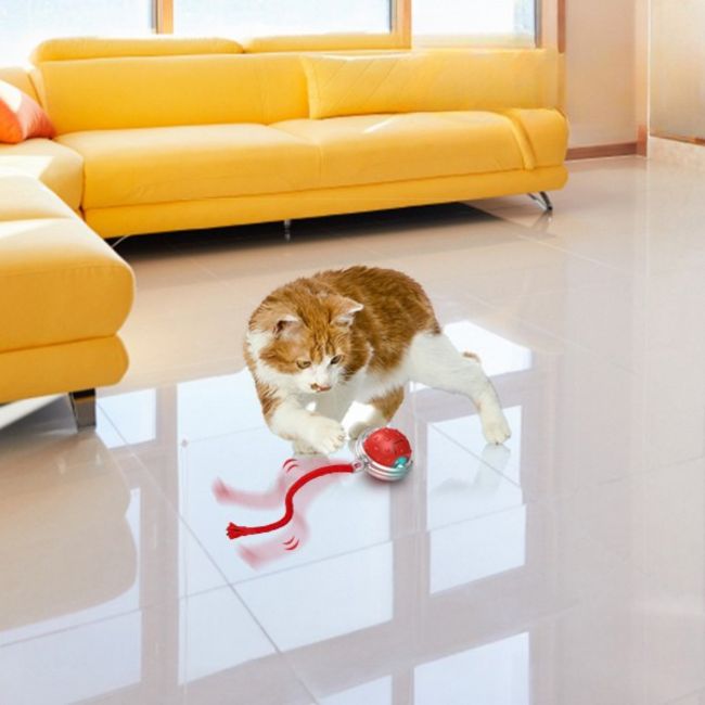 Chat joue activement avec un jouet pour chat contre lâennui dans le salon
