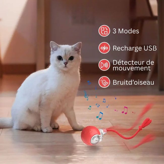 Jouet interactif pour chat avec 3 modes, détection mouvement et recharge USB