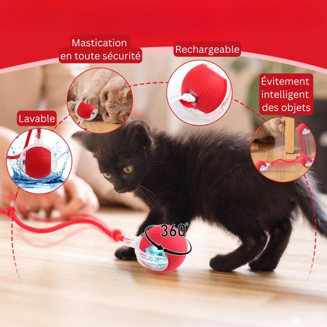 Jouet interactif pour chat avec évitement intelligent et recharge USB