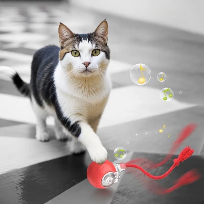 Jouet chat automatique avec sons, lumiĂšre et mouvements erratiques