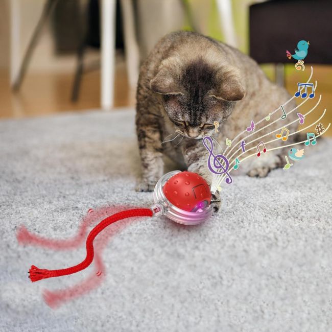 Jouet pour chat qui Ă©met des sons dâoiseaux et stimule les instincts de chasse