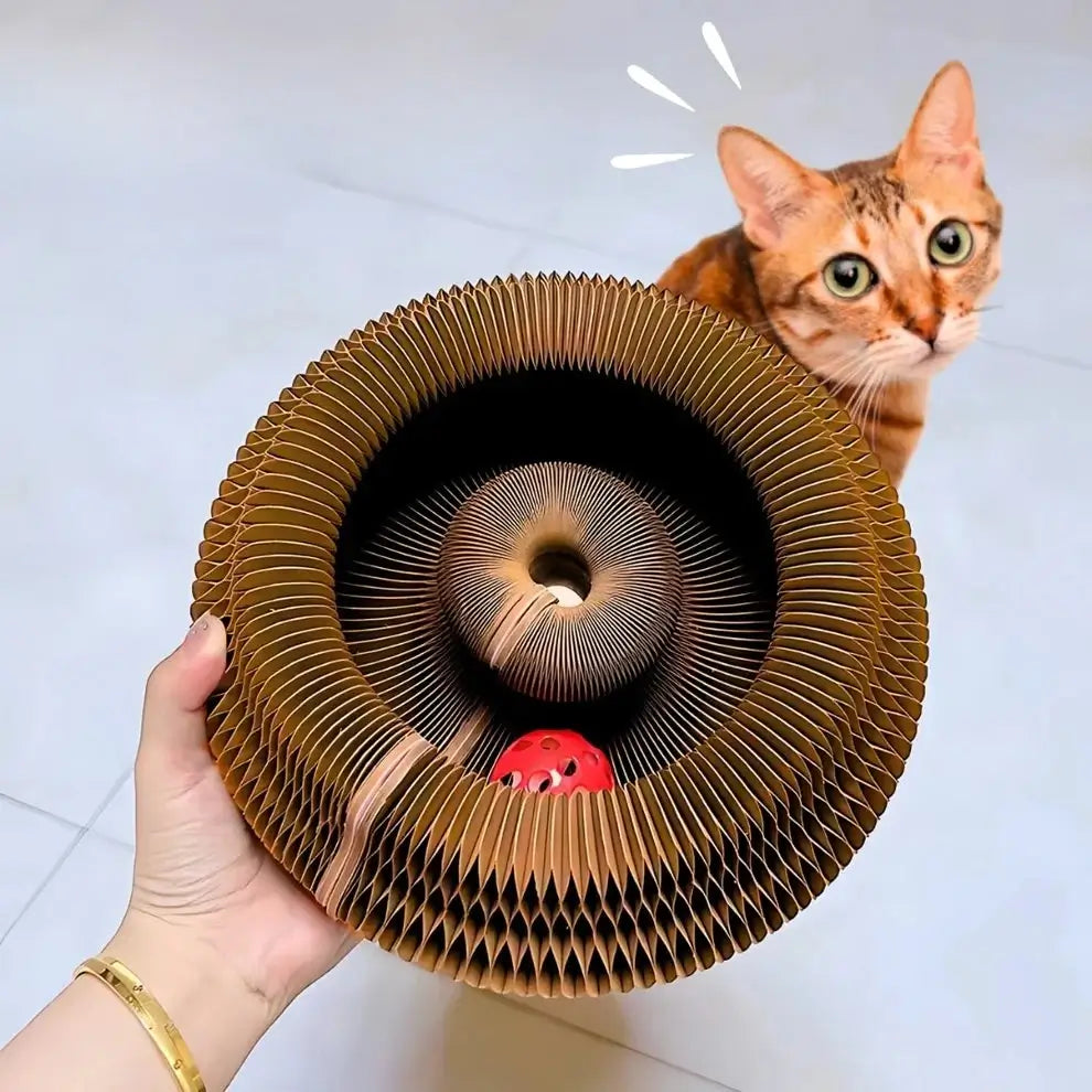 jouet-interactif-chat-curlinou