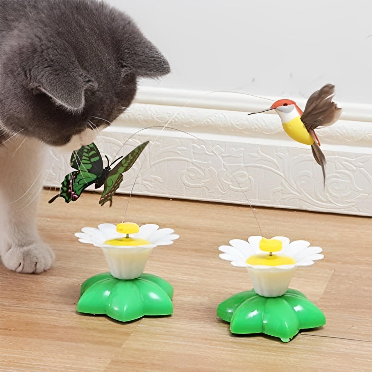 Deux chats fascinĂ©s par un jouet papillon â idĂ©al pour multi-chats et maisons sans jardin