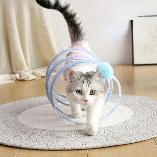 Jouet chat interactif tunnel spirale bleu avec balle pour stimuler les chats dâintĂ©rieur