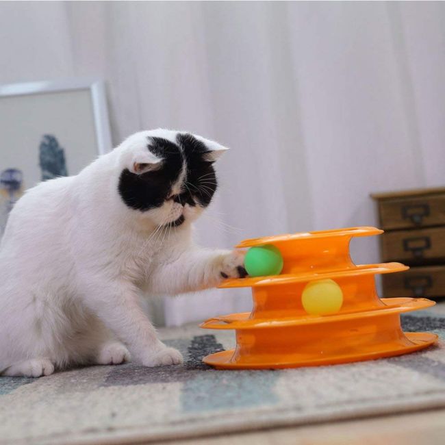 Chat blanc joue avec le jouet pour chat TriLoopâą orange, adaptĂ© Ă lâintĂ©rieur