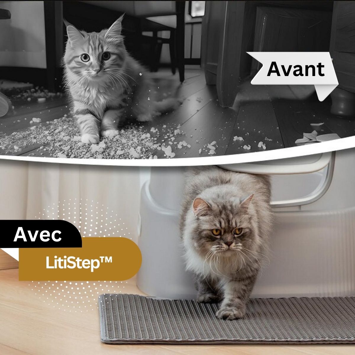 litière chat comparaison avant après avec tapis anti grains LitièreCatcher