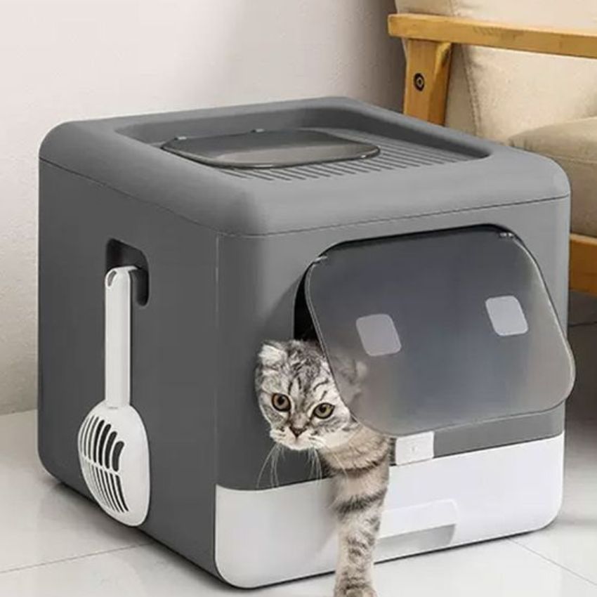 Maison de toilette pour chat gris avec sortie frontale et pelle intégrée