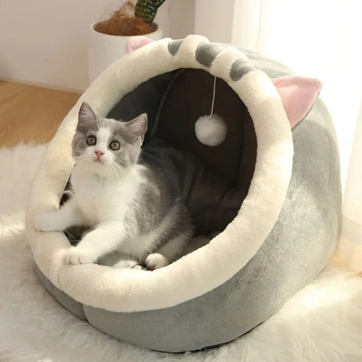 Niche pour chat cocon avec jouet suspendu, idéale pour stimuler et rassurer votre chat