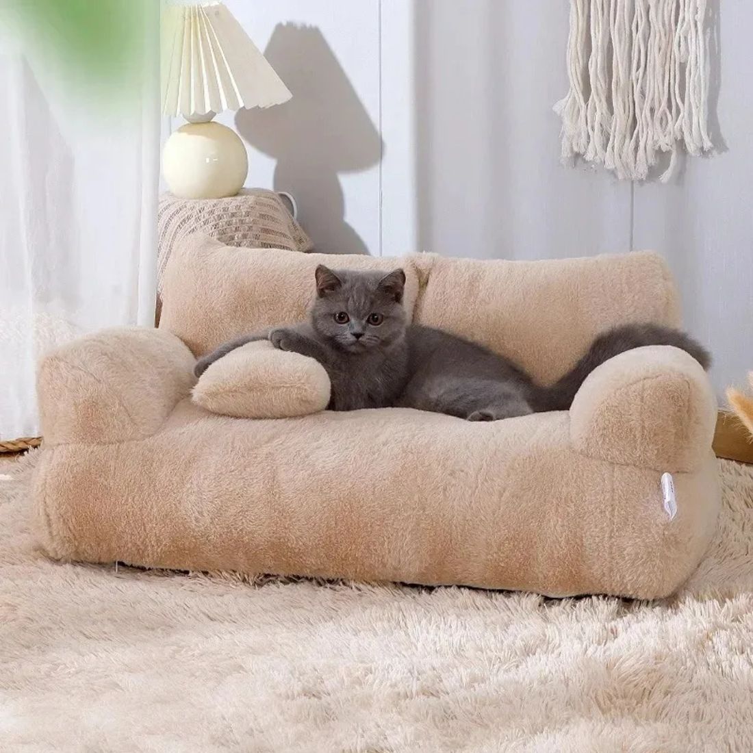 Chat gris allongé dans un panier en forme de canapé beige sur tapis moelleux