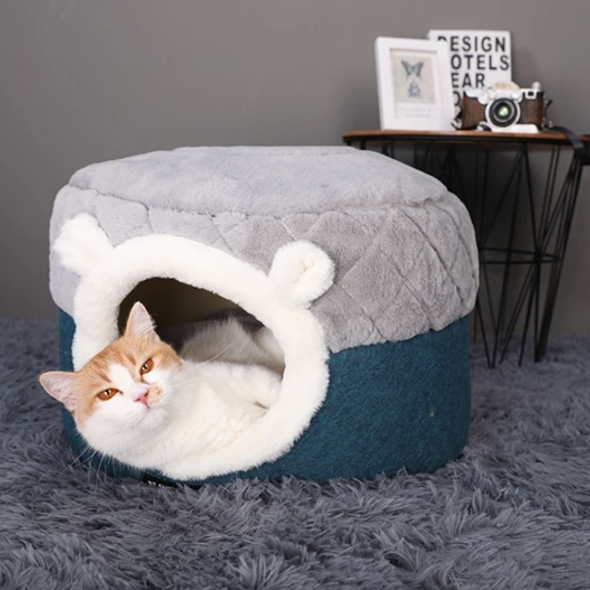 chat blanc et roux dormant paisiblement dans un panier moelleux