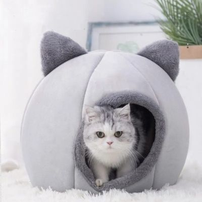 panier chat gris interieure