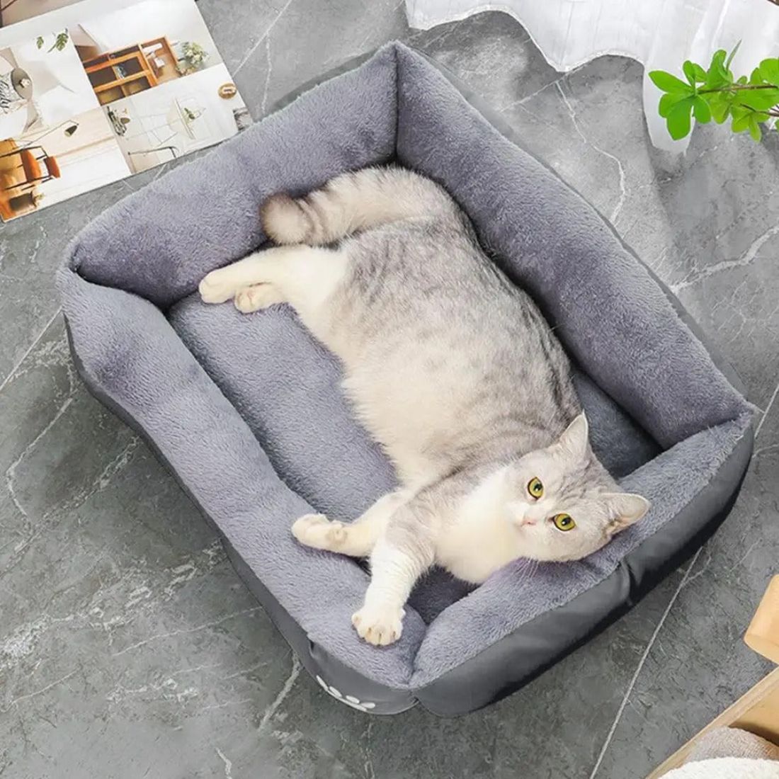 panier chat doux gris vu de dessus avec chat qui dort