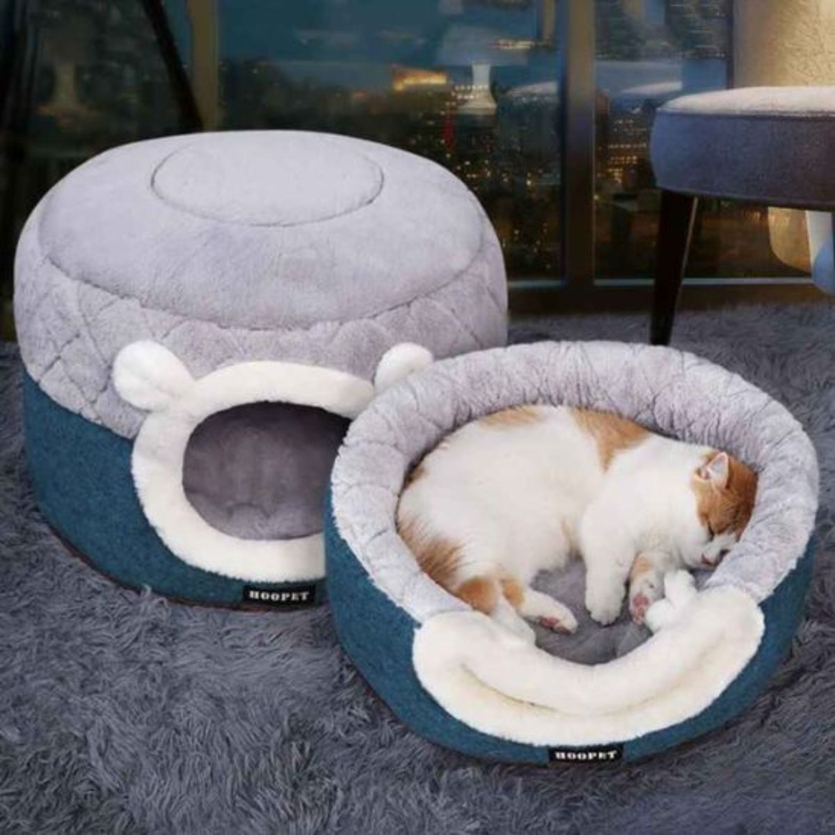 panier pour chat rond et stylé dans salon moderne avec chat allongé