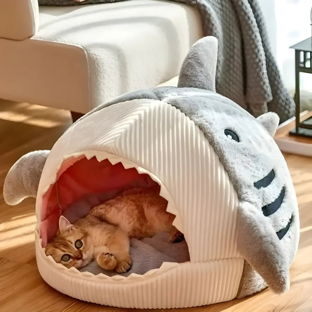panier pour chat en forme de requin confortable avec un chat allongé à l'intérieur