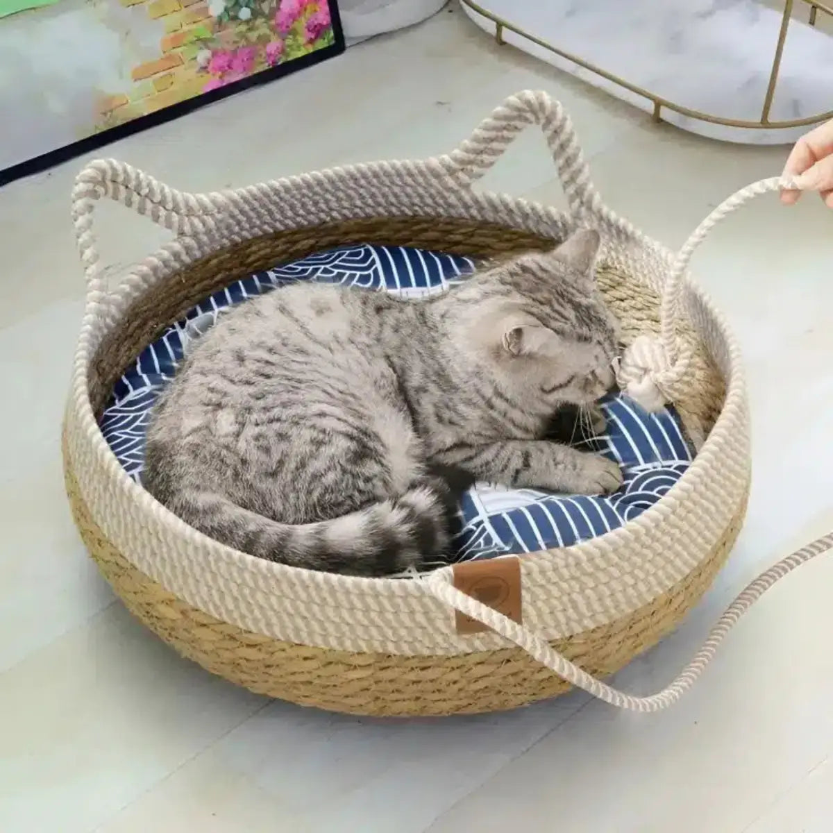 Panier pour chat Tressia en corde tressée avec coussin confortable, design moderne.