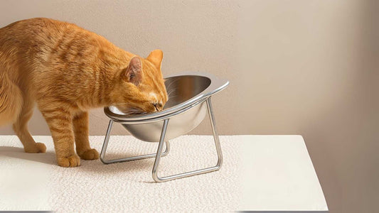 gamelle chat surélevée design ergonomique pour améliorer la digestion et le confort articulaire du chat