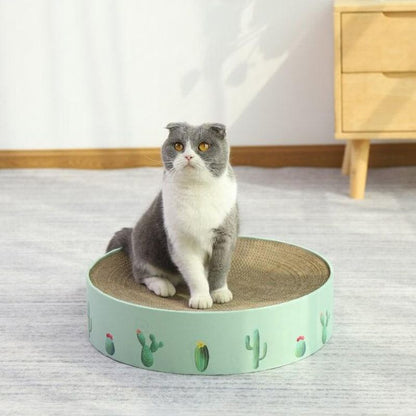 CozyNest™ – Le Griffoir Parfait pour un Chat Épanoui