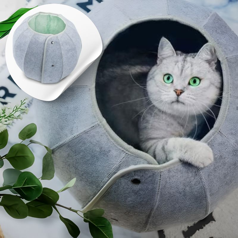 HideySphere™ - Tunnel et Refuge pour Chats avec Design Original