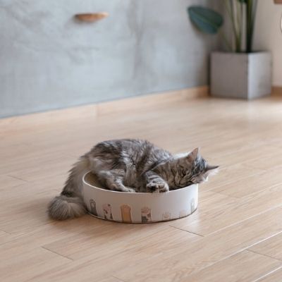 CozyNest™ – Le Griffoir Parfait pour un Chat Épanoui