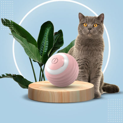 TurboChat™ – Le Jouet Motorisé qui Éveille l’Instinct de Votre Chat