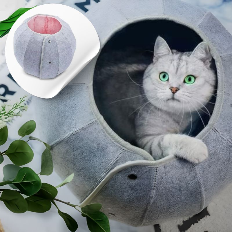 HideySphere™ - Tunnel et Refuge pour Chats avec Design Original