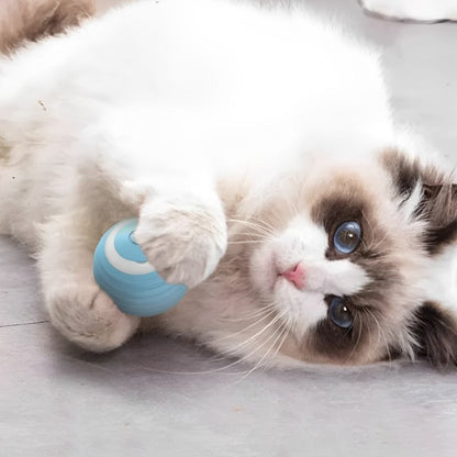 TurboChat™ – Le Jouet Motorisé qui Éveille l’Instinct de Votre Chat