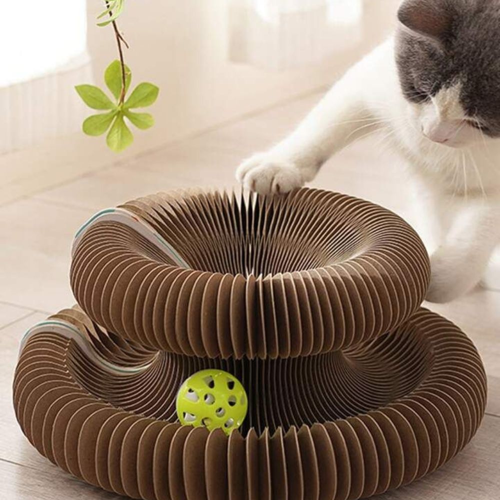 Curlinou™ - Le Jouet Modulable pour Chats