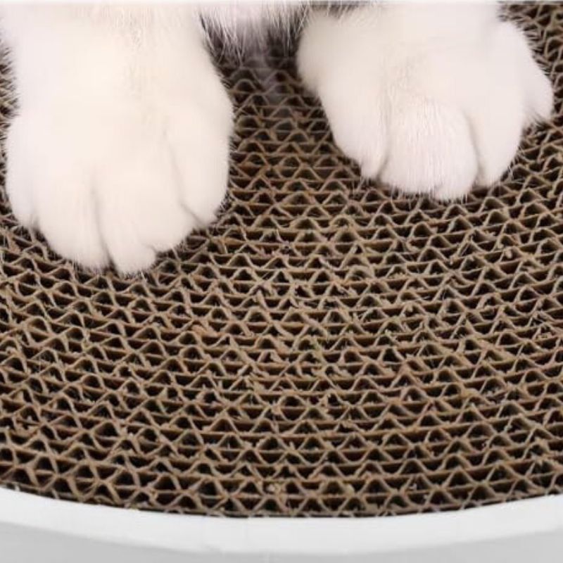 CozyNest™ – Le Griffoir Parfait pour un Chat Épanoui