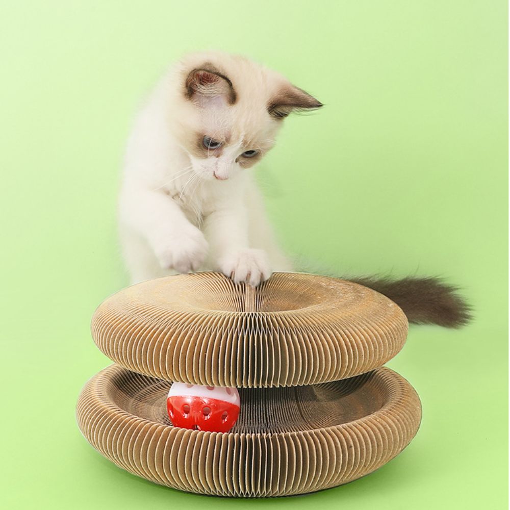 Curlinou™ - Le Jouet Modulable pour Chats