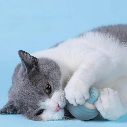 TurboChat™ – Le Jouet Motorisé qui Éveille l’Instinct de Votre Chat