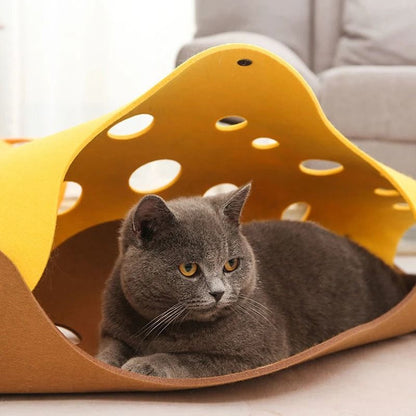 CatFelt™ - Le Tunnel Modulable pour des Aventures Félines sans Limites