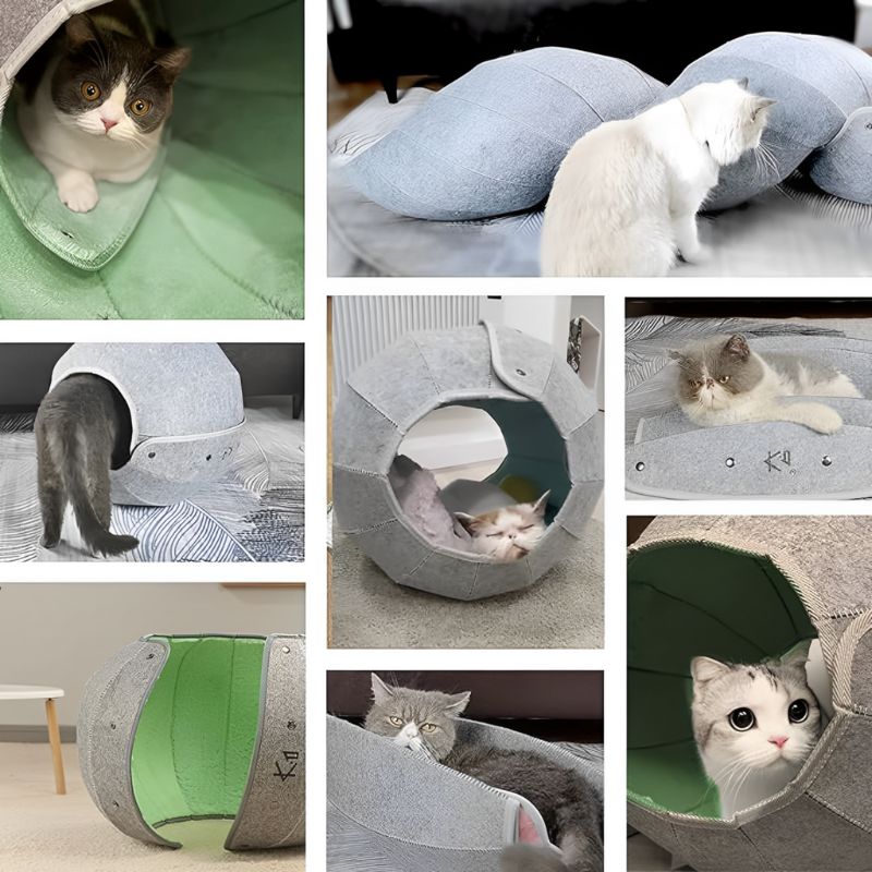 HideySphere™ - Tunnel et Refuge pour Chats avec Design Original