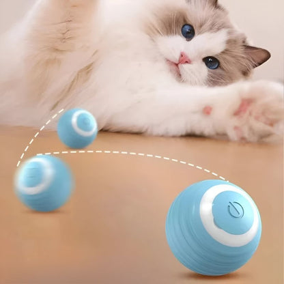 TurboChat™ – Le Jouet Motorisé qui Éveille l’Instinct de Votre Chat