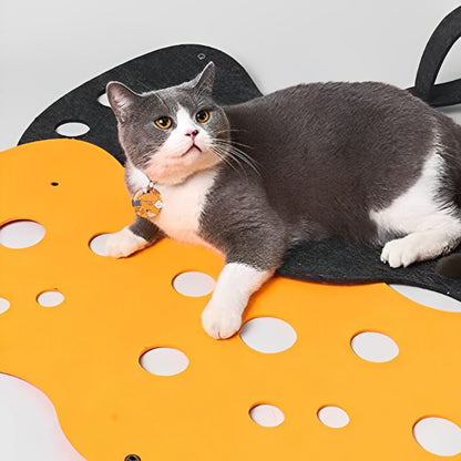 CatFelt™ - Le Tunnel Modulable pour des Aventures Félines sans Limites