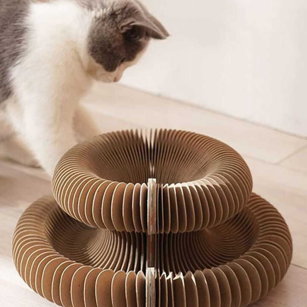 Curlinou™ - Le Jouet Modulable pour Chats