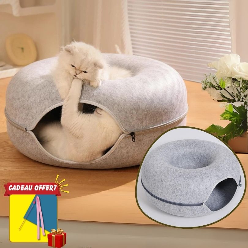 Chat utilisant le griffoir CozyDonut™, alternative propre au carton