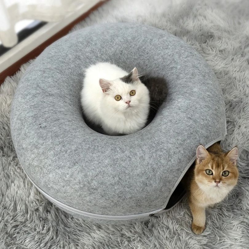 CozyDonut™ installé dans un salon, panier chat design et discret