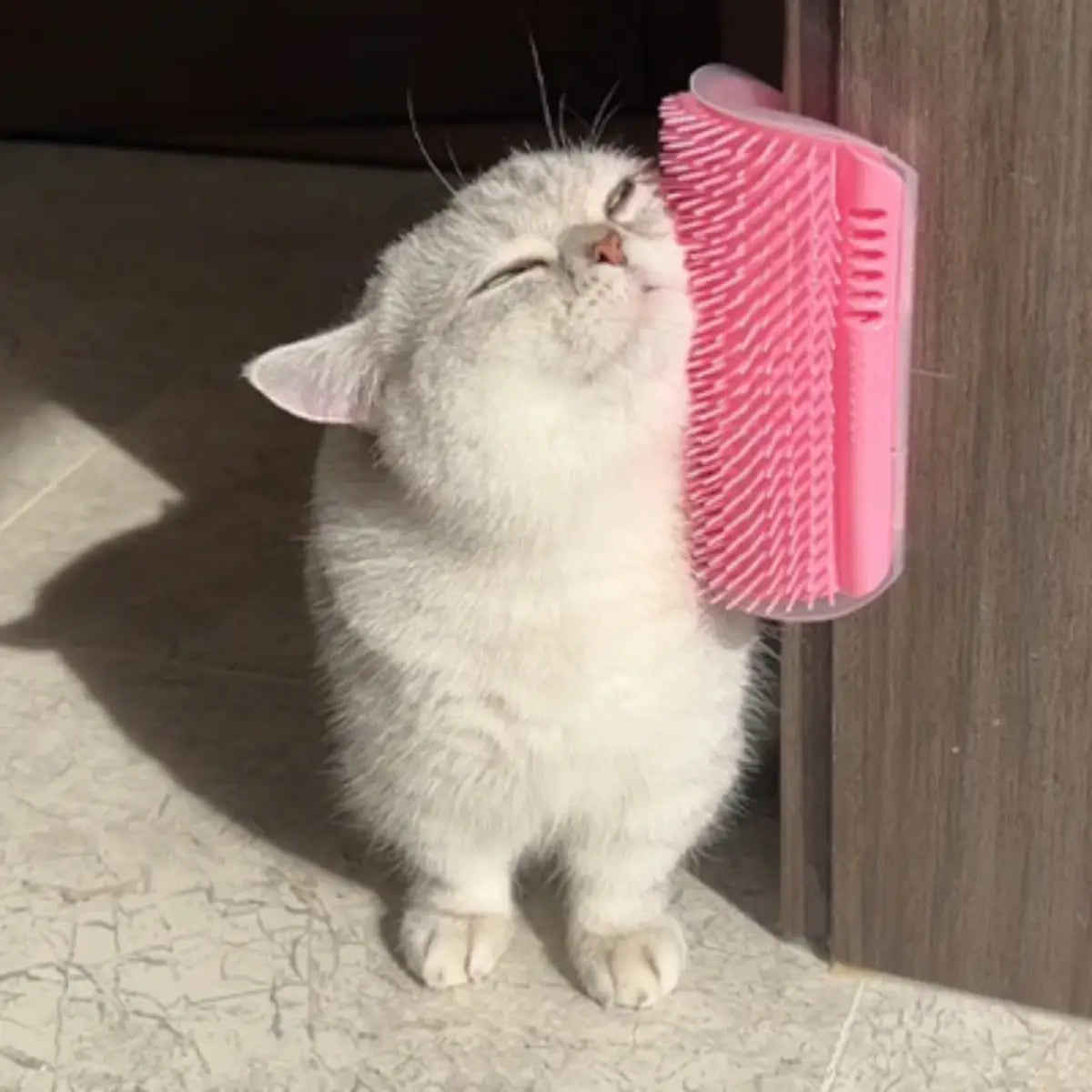 brosse à chat rose fixée au mur pour le massage et le toilettage