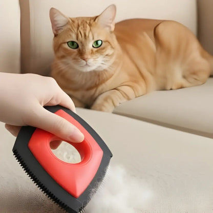 brosse anti poil chat utilisée sur un canapé avec un chat roux allongé - ambiance cosy