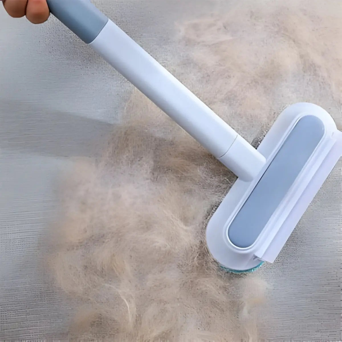 brosse anti poil chat pour éliminer les poils efficacement sur toutes surfaces