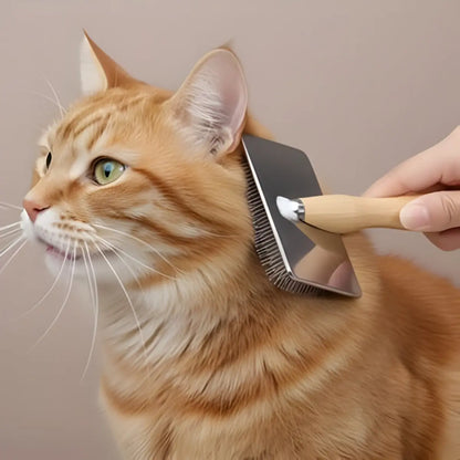 Brosse chat poil long idéale pour un toilettage doux et efficace.