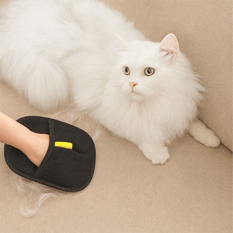 Chat blanc à poils longs sur un canapé avec la brosse pour chat NovaGlove™ retirant les poils efficacement