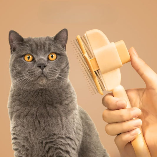 chat gris aux yeux jaunes et brosse pour chat adaptée au toilettage poils courts et longs