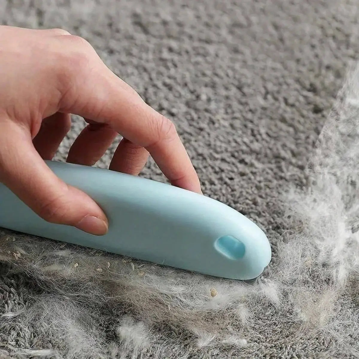 brosse poil chat pour retirer les poils d'animaux sur tapis facilement