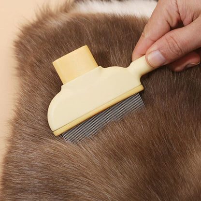 gros plan de brosse pour chat poils longs utilisée pour le toilettage chat