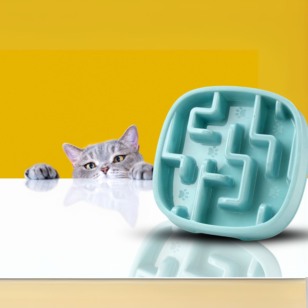 Chat gris curieux devant la gamelle anti-glouton bleue CalmiCroq™.