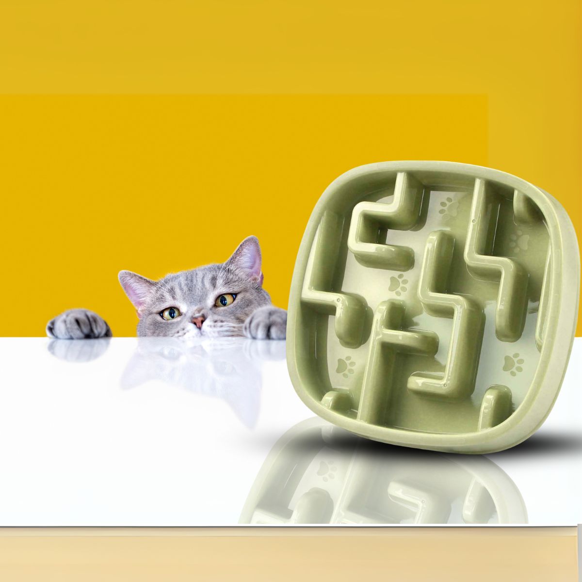 Chat gris intéressé par la gamelle anti-glouton verte CalmiCroq™.